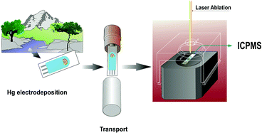 Graphical abstract: Determination of mercury(ii) in water at sub-nanomolar levels by laser ablation-ICPMS analysis of screen printed electrodes used as a portable voltammetric preconcentration system