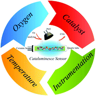 Graphical abstract: Recent advances in cataluminescence-based optical sensing systems