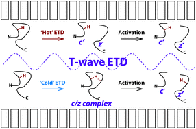 Graphical abstract: A broader view on ion heating in traveling-wave devices using fragmentation of CsI clusters and extent of H˙ migration as molecular thermometers