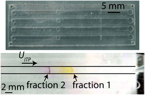 Graphical abstract: A rapidly-prototyped microfluidic device for size-based nucleic acid fractionation using isotachophoresis