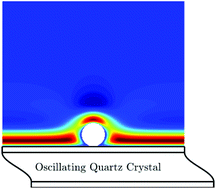 Graphical abstract: A model derived from hydrodynamic simulations for extracting the size of spherical particles from the quartz crystal microbalance
