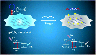 Graphical abstract: A novel label-free strategy for pathogenic DNA detection based on metal ion binding-induced fluorescence quenching of graphitic carbon nitride nanosheets