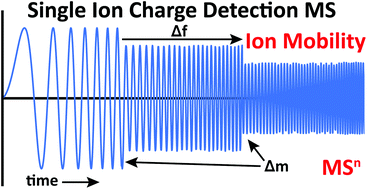 Graphical abstract: Mass, mobility and MSn measurements of single ions using charge detection mass spectrometry