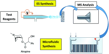 Graphical abstract: Reaction screening and optimization of continuous-flow atropine synthesis by preparative electrospray mass spectrometry