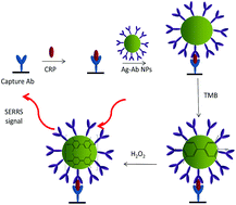Graphical abstract: A novel nanozyme assay utilising the catalytic activity of silver nanoparticles and SERRS