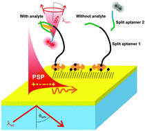 Graphical abstract: A surface plasmon field-enhanced fluorescence reversible split aptamer biosensor