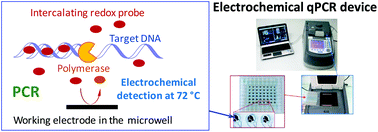 Graphical abstract: Detection of a few DNA copies by real-time electrochemical polymerase chain reaction