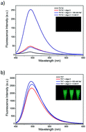 Graphical abstract: Novel fluorescent cationic benzothiazole dye that responds to G-quadruplex aptamer as a novel K+ sensor