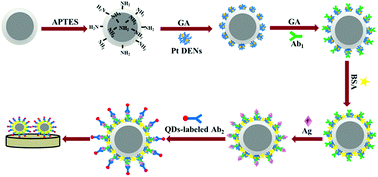 Graphical abstract: Enhanced anodic electrochemiluminescence of CdTe quantum dots based on electrocatalytic oxidation of a co-reactant by dendrimer-encapsulated Pt nanoparticles and its application for sandwiched immunoassays