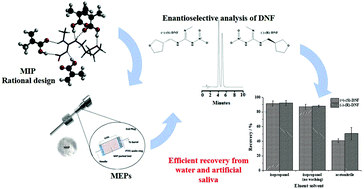 Graphical abstract: Rational design of a molecularly imprinted polymer for dinotefuran: theoretical and experimental studies aimed at the development of an efficient adsorbent for microextraction by packed sorbent