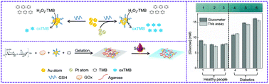 Graphical abstract: Gold–platinum bimetallic nanoclusters with enhanced peroxidase-like activity and their integrated agarose hydrogel-based sensing platform for the colorimetric analysis of glucose levels in serum