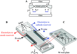 Graphical abstract: Integration of polycarbonate membranes in microfluidic free-flow electrophoresis