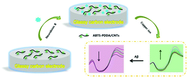 Graphical abstract: Combined determination of copper ions and β-amyloid peptide by a single ratiometric electrochemical biosensor