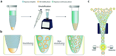 Graphical abstract: Bulk double emulsification for flow cytometric analysis of microfluidic droplets