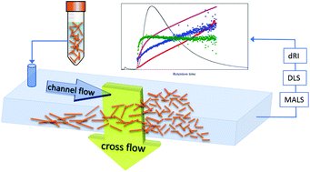 Graphical abstract: Separation and characterization of cellulose nanocrystals by multi-detector asymmetrical-flow field-flow fractionation
