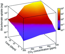 Graphical abstract: Quantitative modeling of microalgae based sequestration of atmospheric CO2