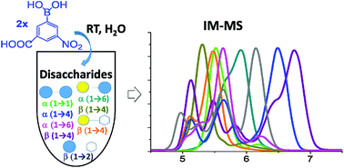 Graphical abstract: Rapid resolution of carbohydrate isomers via multi-site derivatization ion mobility-mass spectrometry