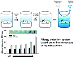 Graphical abstract: Highly sensitive colorimetric detection of allergies based on an immunoassay using peroxidase-mimicking nanozymes