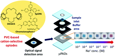 Graphical abstract: Implementation of a plasticized PVC-based cation-selective optode system into a paper-based analytical device for colorimetric sodium detection