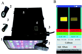 Graphical abstract: A smartphone-based double-channel fluorescence setup for immunoassay of a carcinoembryonic antigen using CuS nanoparticles for signal amplification