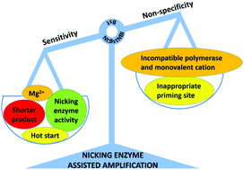 Graphical abstract: Technical aspects of nicking enzyme assisted amplification