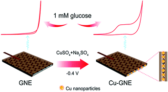 Graphical abstract: A novel non-enzymatic glucose sensor based on a Cu-nanoparticle-modified graphene edge nanoelectrode