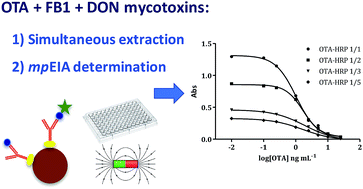 Graphical abstract: Rapid simultaneous extraction and magnetic particle-based enzyme immunoassay for the parallel determination of ochratoxin A, fumonisin B1 and deoxynivalenol mycotoxins in cereal samples