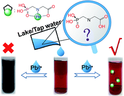 Graphical abstract: Detection of herbicide glyphosates based on an anti-aggregation mechanism by using unmodified gold nanoparticles in the presence of Pb2+