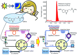 Graphical abstract: A sensitive method to determine melatonin in saliva by automated online in-tube solid-phase microextraction coupled with stable isotope-dilution liquid chromatography-tandem mass spectrometry