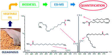 Graphical abstract: Potential of electrospray ionization mass spectrometry (ESI-MS), using direct infusion, to quantify fatty acid methyl esters (FAMEs) in biodiesel