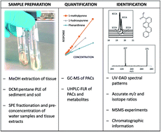 Graphical abstract: Separation, detection and identification of phase I and phase II metabolites and their corresponding polycyclic aromatic compounds