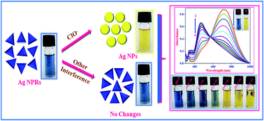 Graphical abstract: Colorimetric detection of hypochlorite based on the morphological changes of silver nanoprisms to spherical nanoparticles