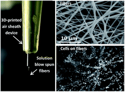 Graphical abstract: Microchip-based 3D-cell culture using polymer nanofibers generated by solution blow spinning