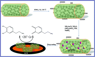 Graphical abstract: AuPd bimetallic nanoparticle-supported carbon nanotubes for selective detection of dopamine in the presence of ascorbic acid
