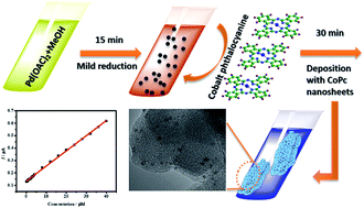 Graphical abstract: A sensitive and selective electrochemical nitrite sensor based on a glassy carbon electrode modified with cobalt phthalocyanine-supported Pd nanoparticles