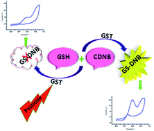 Graphical abstract: Glutathione-S-transferase-catalyzed reaction of glutathione for electrochemical biosensing of temephos, fenobucarb and dimethoate