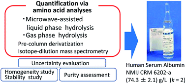 Graphical abstract: Development of a certified reference material of human serum albumin: certification and value assignment via amino acid analyses