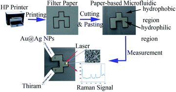 Graphical abstract: Highly sensitive and label-free determination of thiram residue using surface-enhanced Raman spectroscopy (SERS) coupled with paper-based microfluidics