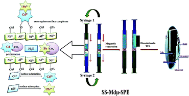 Graphical abstract: Application of syringe to syringe dispersive micro-solid phase extraction using a magnetic layered double hydroxide for the determination of cadmium(ii) and lead(ii) ions in food and water samples