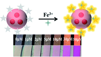Graphical abstract: Visual determination of ferric ions in aqueous solution based on a high selectivity and sensitivity ratiometric fluorescent nanosensor