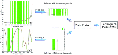 Graphical abstract: Rapid determination of farinograph parameters of wheat flour using data fusion and a forward interval variable selection algorithm