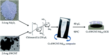 Graphical abstract: New combination between chitosan, single walled carbon nanotubes and neodymium(iii) oxide found to be useful in the electrochemical determination of rutin in the presence of morin and quercetin