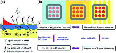 Graphical abstract: Plasmonic nanograting enhanced fluorescence for protein microarray analysis of carcinoembryonic antigen (CEA)