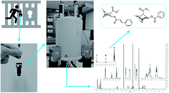Graphical abstract: An external reference 1H qNMR method (PULCON) for characterization of high purity cocaine seizures