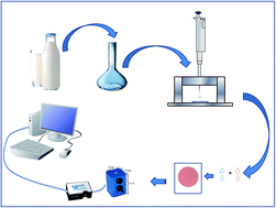 Graphical abstract: Fast and simple method for identification of adulteration of cow's milk with urea using diffuse reflectance spectroscopy