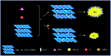 Graphical abstract: Determination of alizarin red S based on layered double hydroxides-improved chemiluminescence from hydrogen peroxide and luminol