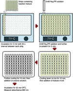 Graphical abstract: A high-throughput method for orthophosphate determination of thermostable membrane-bound pyrophosphatase activity