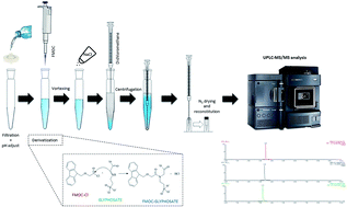 Graphical abstract: Quantitative analysis of glyphosate, glufosinate and AMPA in irrigation water by in situ derivatization–dispersive liquid–liquid microextraction combined with UPLC-MS/MS