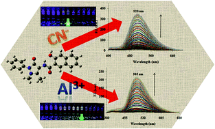 Graphical abstract: A new ‘Turn-on’ PET-CHEF based fluorescent sensor for Al3+ and CN− ions: applications in real samples