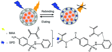 Graphical abstract: One-pot synthesis of a fluorescent molecularly imprinted nanosensor for highly selective detection of sulfapyridine in water